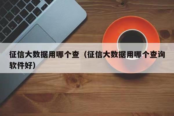 飞雪快查-个人大数据风险查询！