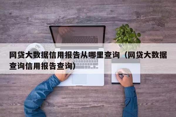 鹰心快查-大数据信用报告查询！