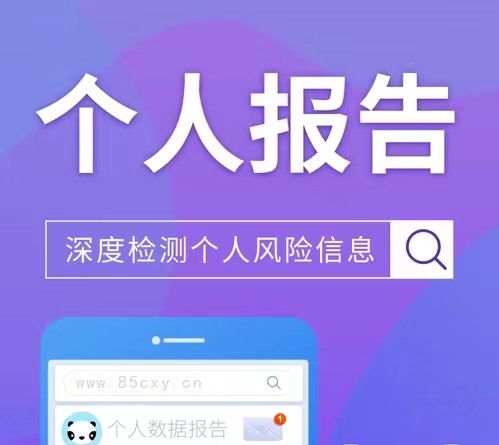个人大数据查询软件，查逾期查失信及网黑名单！
